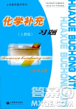 上海教育出版社2021化學(xué)補(bǔ)充習(xí)題九年級(jí)上冊(cè)上教版答案