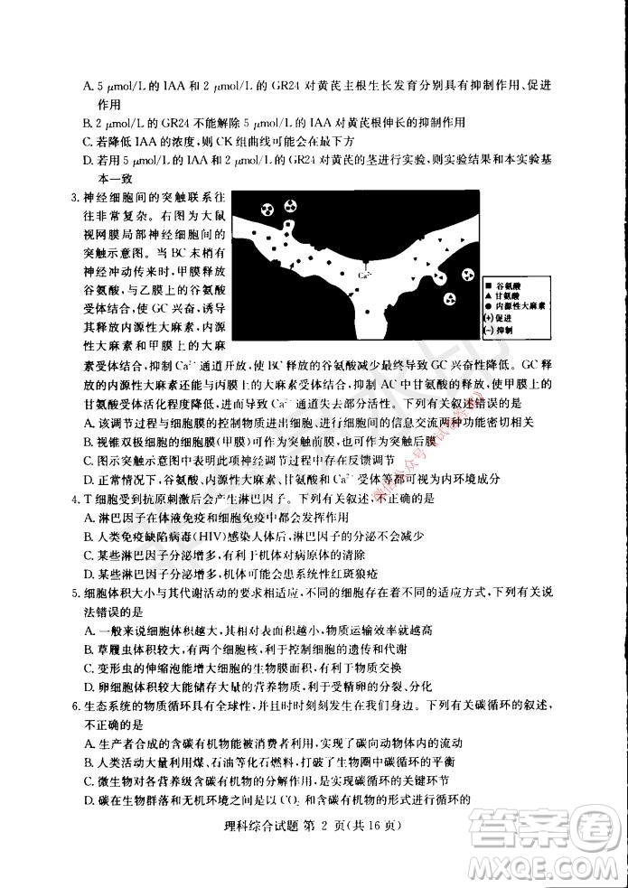 2021年湘豫名校聯(lián)考高三1月聯(lián)考理科綜合試題及答案