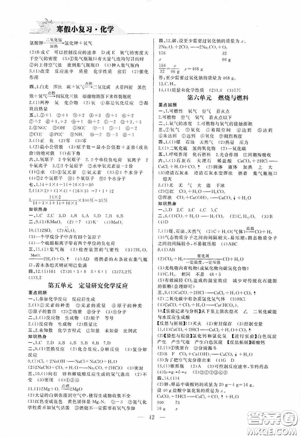 山東人民出版社2021寒假小復(fù)習(xí)九年級(jí)化學(xué)魯教版答案