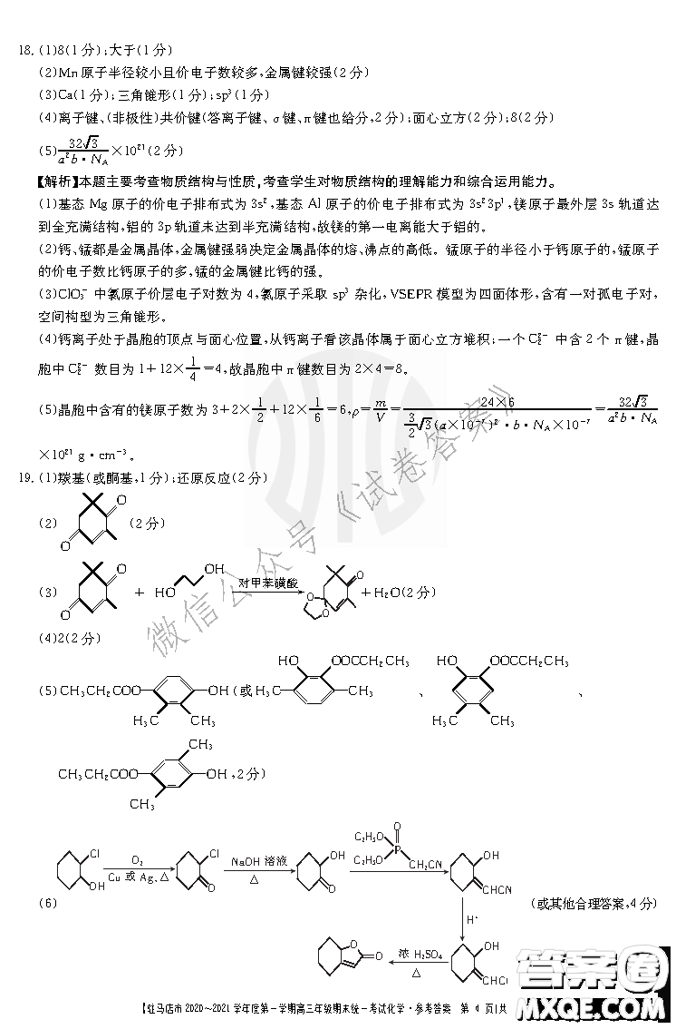 駐馬店市2020-2021學(xué)年度第一學(xué)期高三年級(jí)期末統(tǒng)一考試化學(xué)試題及答案