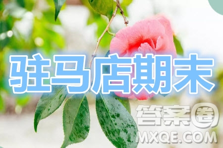 駐馬店市2020-2021學(xué)年度第一學(xué)期高三年級(jí)期末統(tǒng)一考試化學(xué)試題及答案