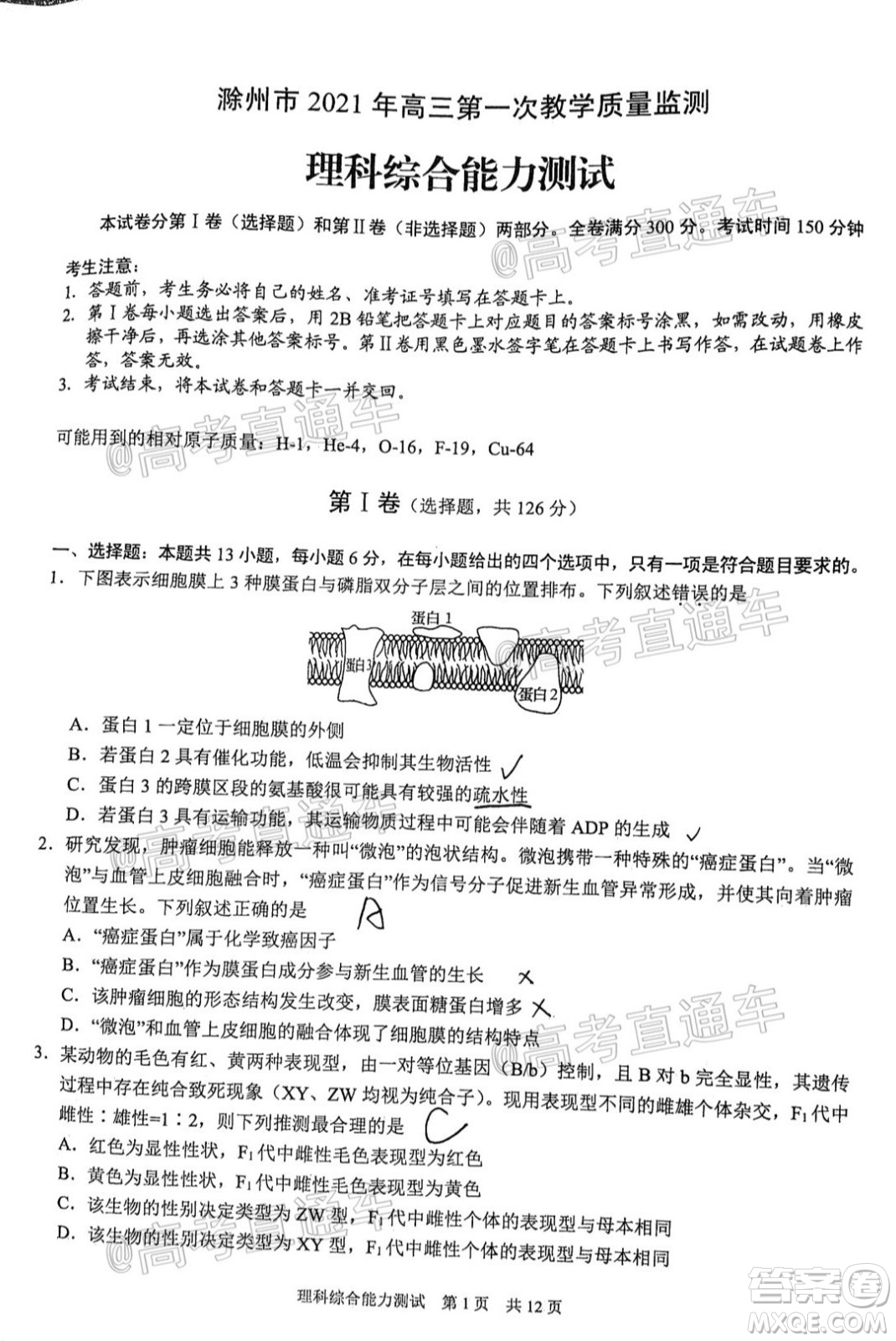 滁州市2021年高三第一次教學(xué)質(zhì)量監(jiān)測(cè)理科綜合試題及答案