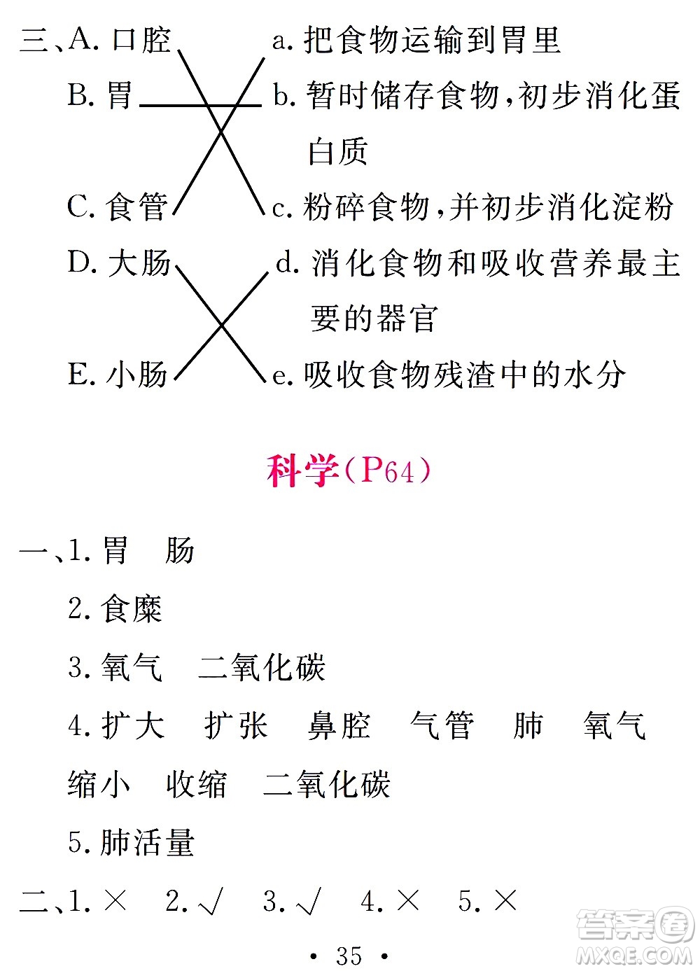 團(tuán)結(jié)出版社2021天舟文化精彩寒假四年級答案