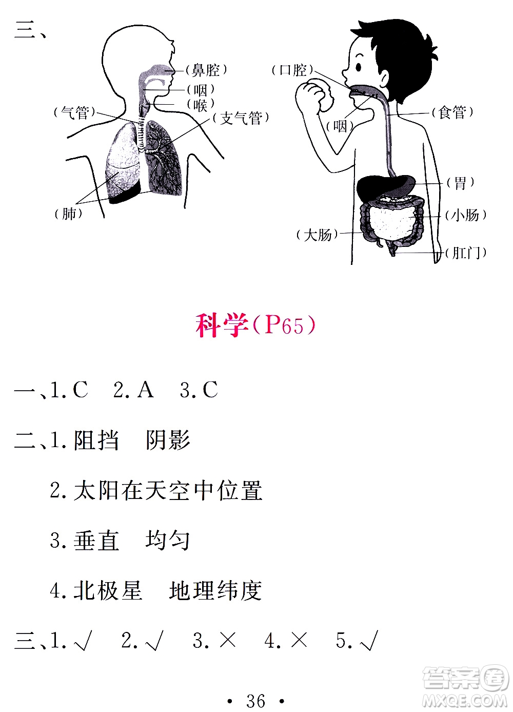 團(tuán)結(jié)出版社2021天舟文化精彩寒假四年級答案