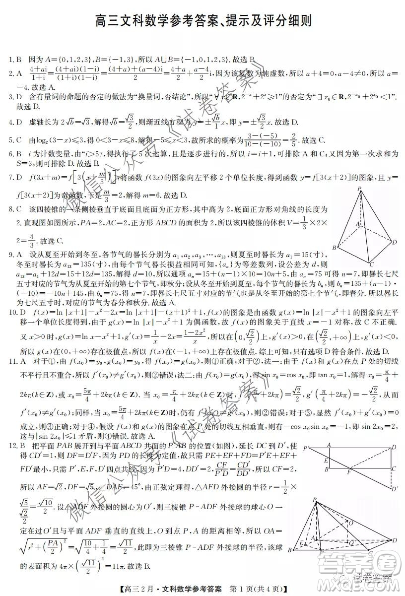 九師聯(lián)盟2020-2021學(xué)年高三2月質(zhì)量檢測文科數(shù)學(xué)試題及答案