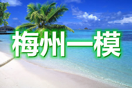 2021年梅州市高三總復(fù)習(xí)質(zhì)檢試卷歷史試題及答案