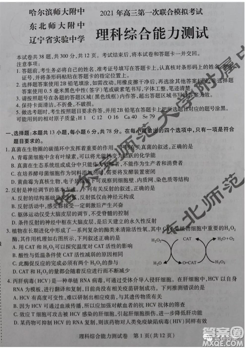 東北三省三校2021年高三第一次聯(lián)合模擬考試理科綜合試題及答案