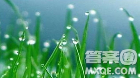 描寫(xiě)下雨的作文600字 關(guān)于寫(xiě)下雨的作文600字最新