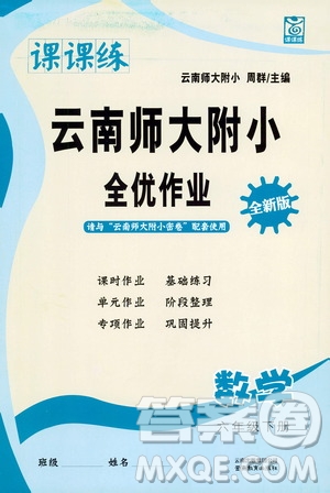 云南教育出版社2021課課練云南師大附小全優(yōu)作業(yè)六年級數(shù)學下冊全新版答案