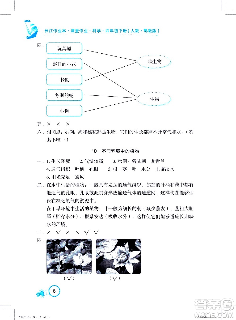 湖北教育出版社2021長江作業(yè)本課堂作業(yè)科學(xué)四年級下冊人教鄂教版答案