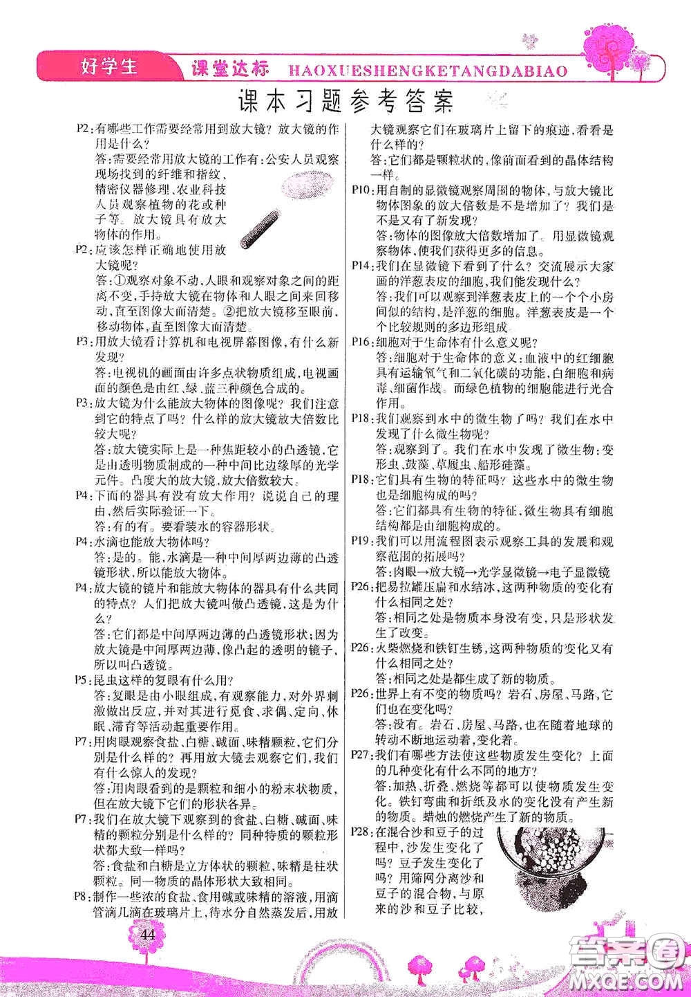 河北少年兒童出版社2021好學(xué)生課堂達(dá)標(biāo)六年級科學(xué)下冊JK版答案