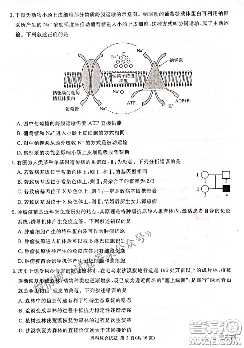 南寧市2021屆高中畢業(yè)班第一次適應(yīng)性測試?yán)砜凭C合試卷及答案