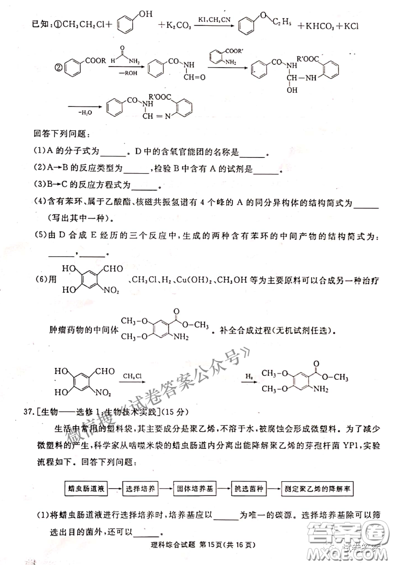 南寧市2021屆高中畢業(yè)班第一次適應(yīng)性測試?yán)砜凭C合試卷及答案