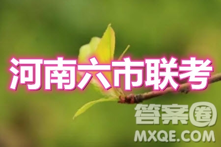 2021年河南省六市高三第一次聯(lián)考語(yǔ)文試題及答案