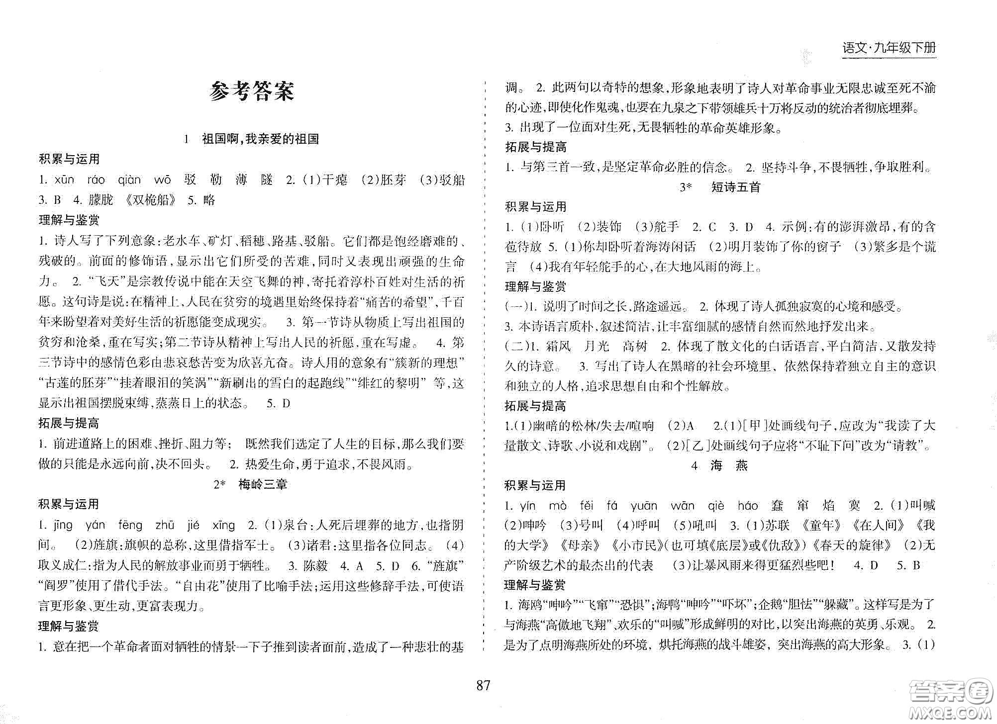 海南出版社2021新課程課堂同步練習(xí)冊九年級語文下冊人教版答案