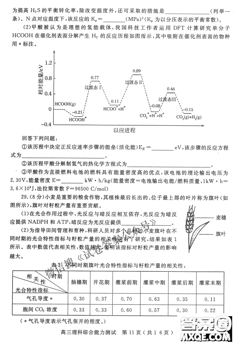 2021年河南省六市高三第一次聯(lián)考理科綜合試題及答案