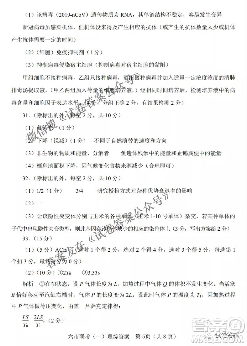 2021年河南省六市高三第一次聯(lián)考理科綜合試題及答案