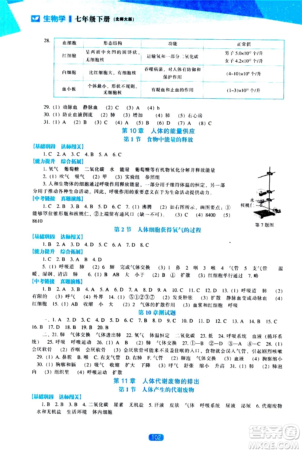 遼海出版社2021新課程生物學(xué)能力培養(yǎng)七年級下冊北師大版答案