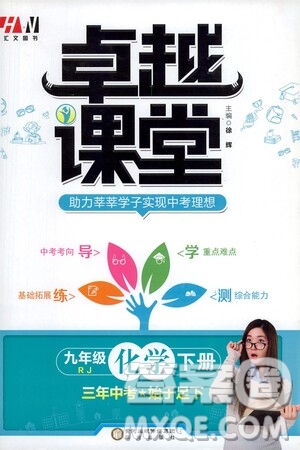 陽光出版社2021匯文圖書卓越課堂九年級(jí)化學(xué)下冊(cè)人教版答案