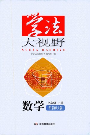 湖南教育出版社2021學(xué)法大視野數(shù)學(xué)七年級下冊華東師大版答案