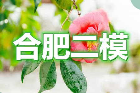 合肥市2021年高三第二次教學(xué)質(zhì)量檢測(cè)理科數(shù)學(xué)試題及答案