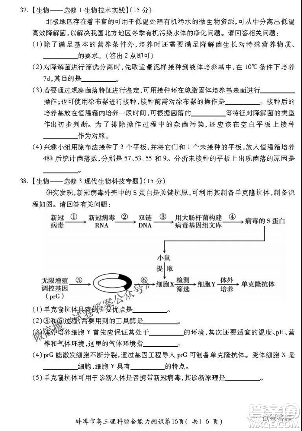 蚌埠市2021屆高三年級(jí)第三次教學(xué)質(zhì)量檢查考試?yán)砜凭C合試題及答案