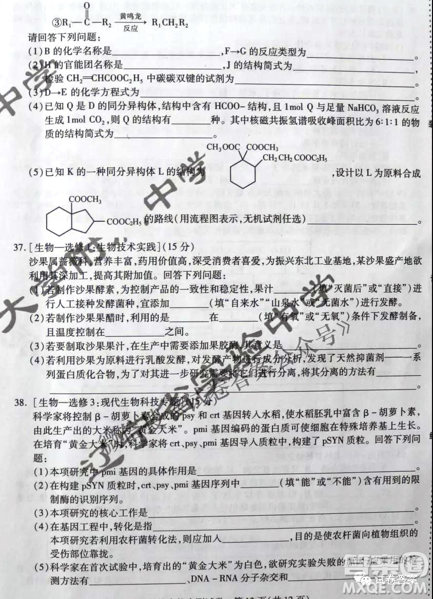 東北三省三校2021年高三第二次聯(lián)合模擬考試?yán)砜凭C合試題及答案