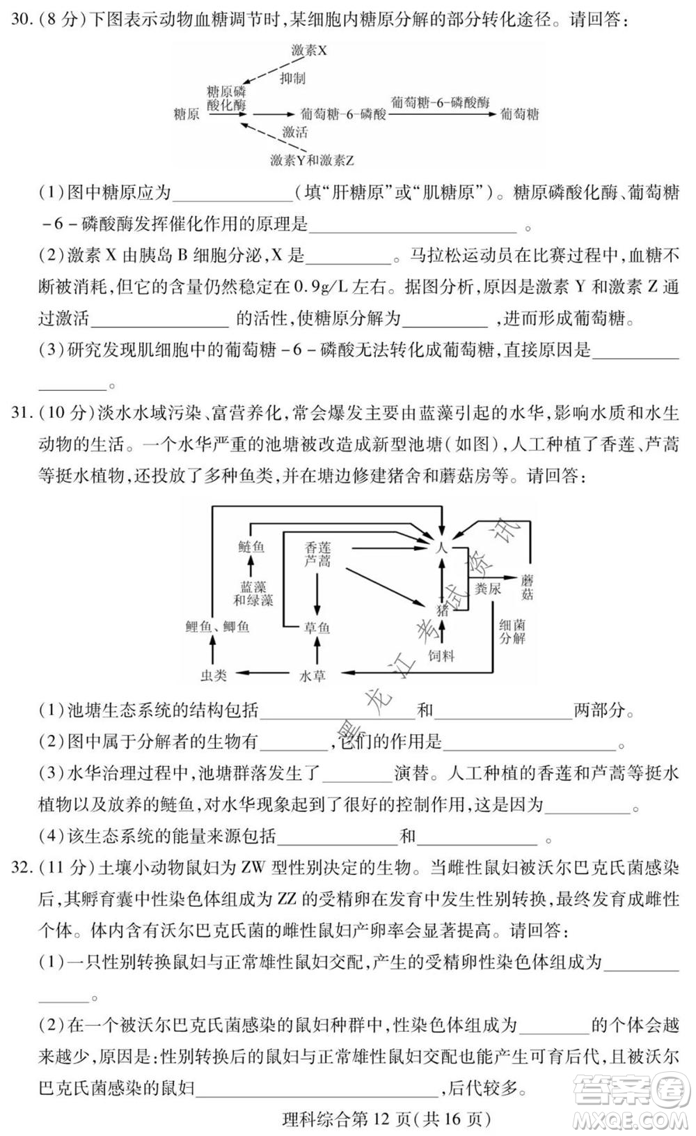 2021年?yáng)|北三省四市教研聯(lián)合體高考模擬試卷二理科綜合試題及答案