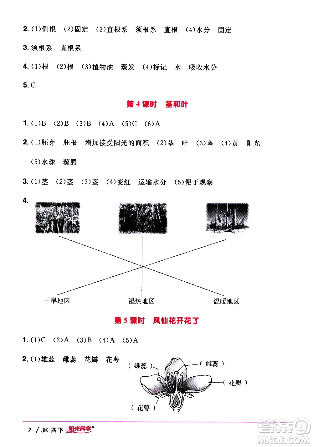 江西教育出版社2021陽光同學課時優(yōu)化作業(yè)科學四年級下冊JK教科版答案