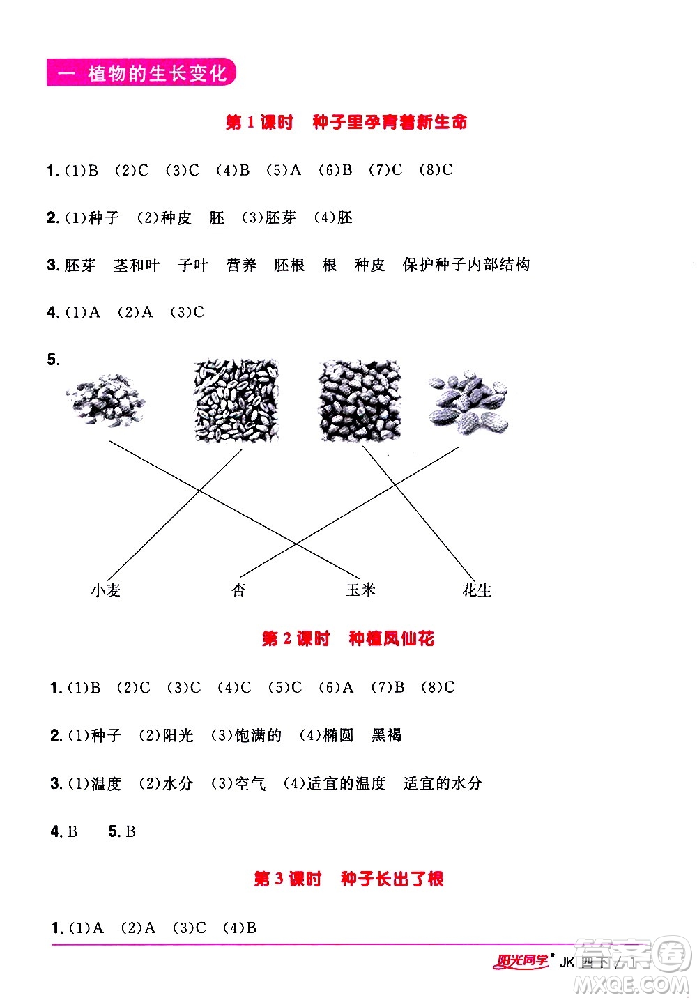 江西教育出版社2021陽光同學課時優(yōu)化作業(yè)科學四年級下冊JK教科版答案