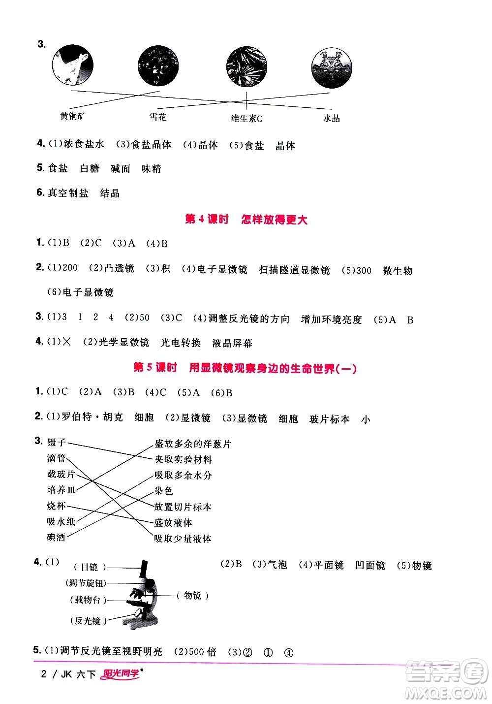 江西教育出版社2021陽光同學課時優(yōu)化作業(yè)科學六年級下冊JK教科版答案