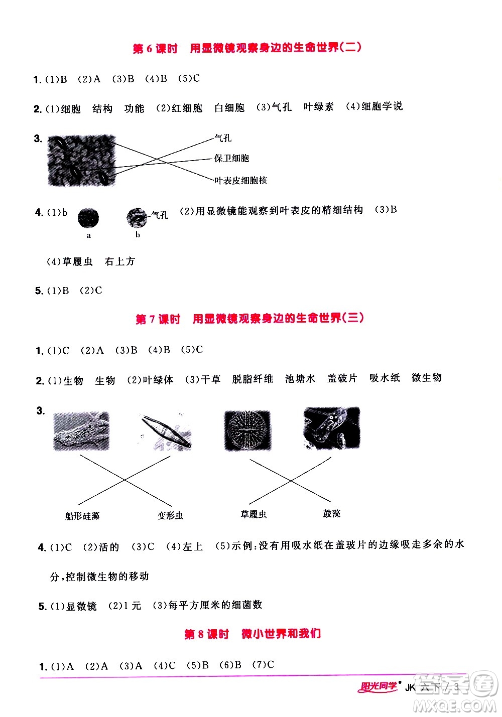 江西教育出版社2021陽光同學課時優(yōu)化作業(yè)科學六年級下冊JK教科版答案