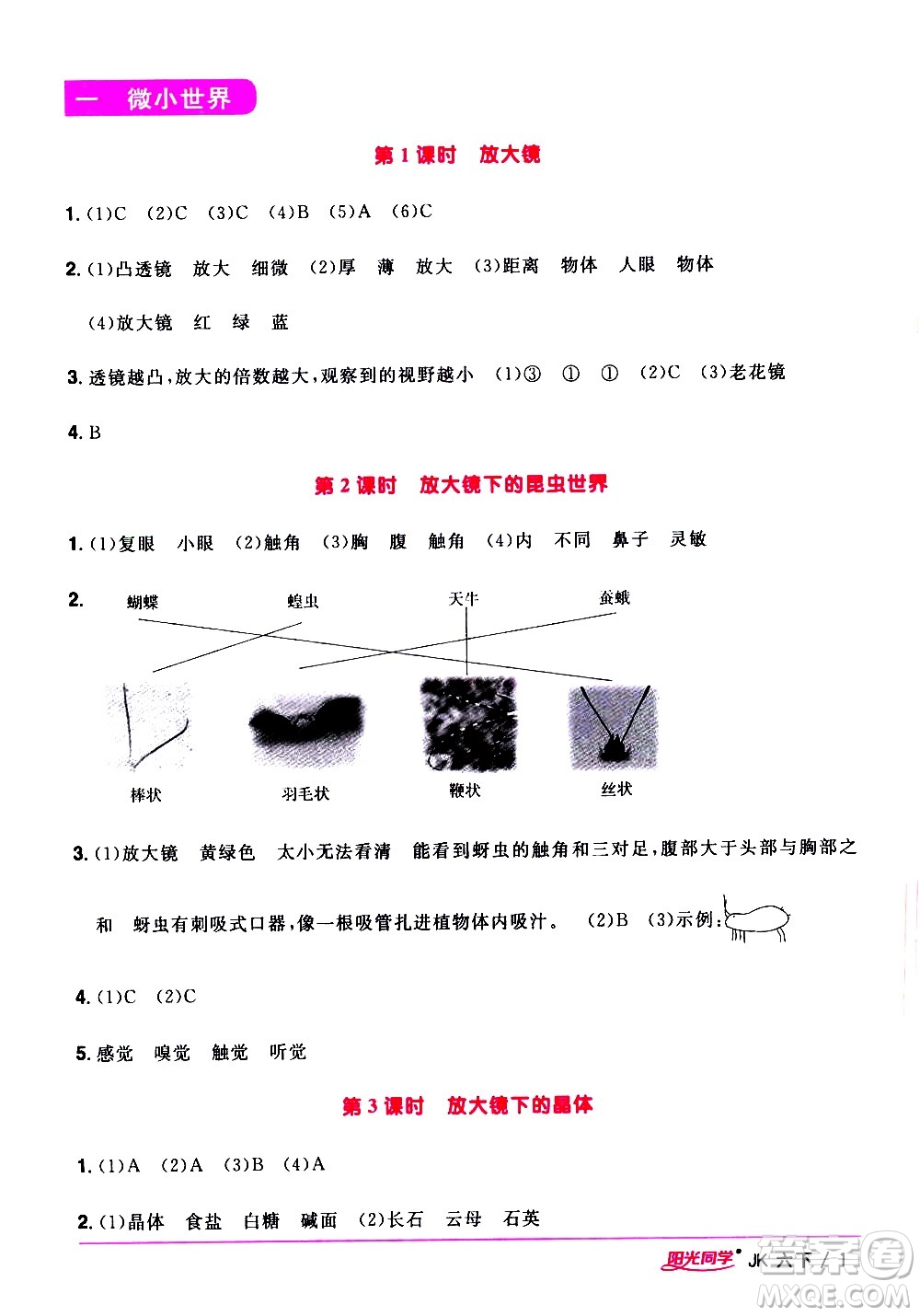 江西教育出版社2021陽光同學課時優(yōu)化作業(yè)科學六年級下冊JK教科版答案