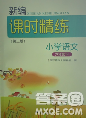 浙江大學(xué)出版社2021新編課時精練第二版小學(xué)語文六年級下冊答案