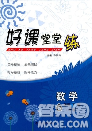 遼寧教育出版社2021好課堂堂練六年級數(shù)學(xué)下冊人教版答案