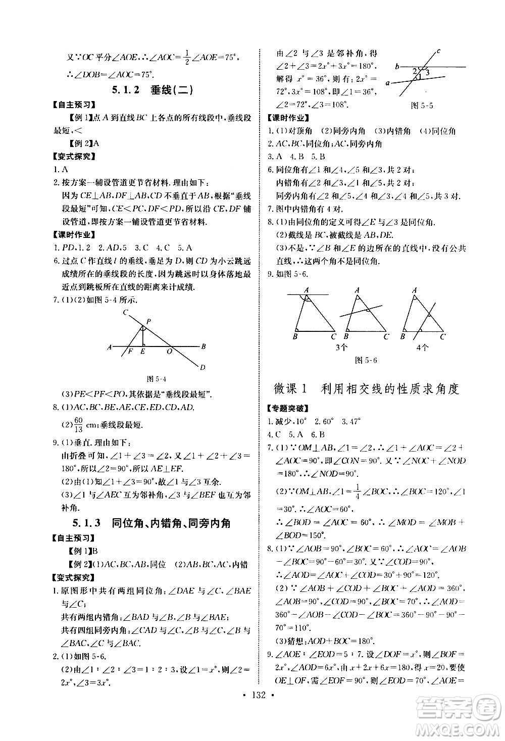 湖北少年兒童出版社2021長江全能學(xué)案同步練習(xí)冊數(shù)學(xué)七年級下冊人教版答案