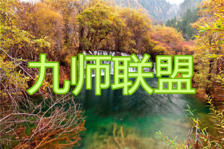 2021年九師聯(lián)盟高三4月聯(lián)考理科數(shù)學試題及答案