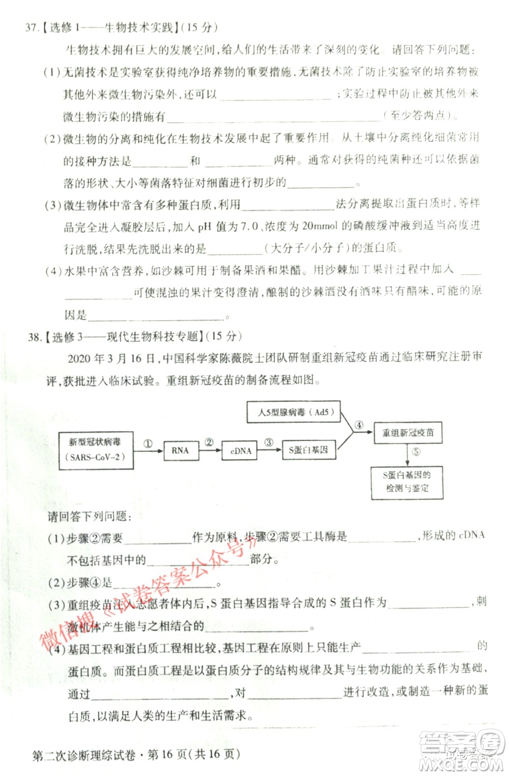 2021年甘肅省第二次高考診斷考試?yán)砜凭C合試題及答案