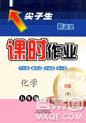 遼寧教育出版社2021尖子生新課堂課時作業(yè)九年級化學(xué)下冊人教版答案