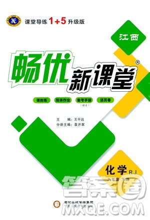 寧夏人民教育出版社2021暢優(yōu)新課堂九年級(jí)化學(xué)下冊(cè)人教版江西專版答案