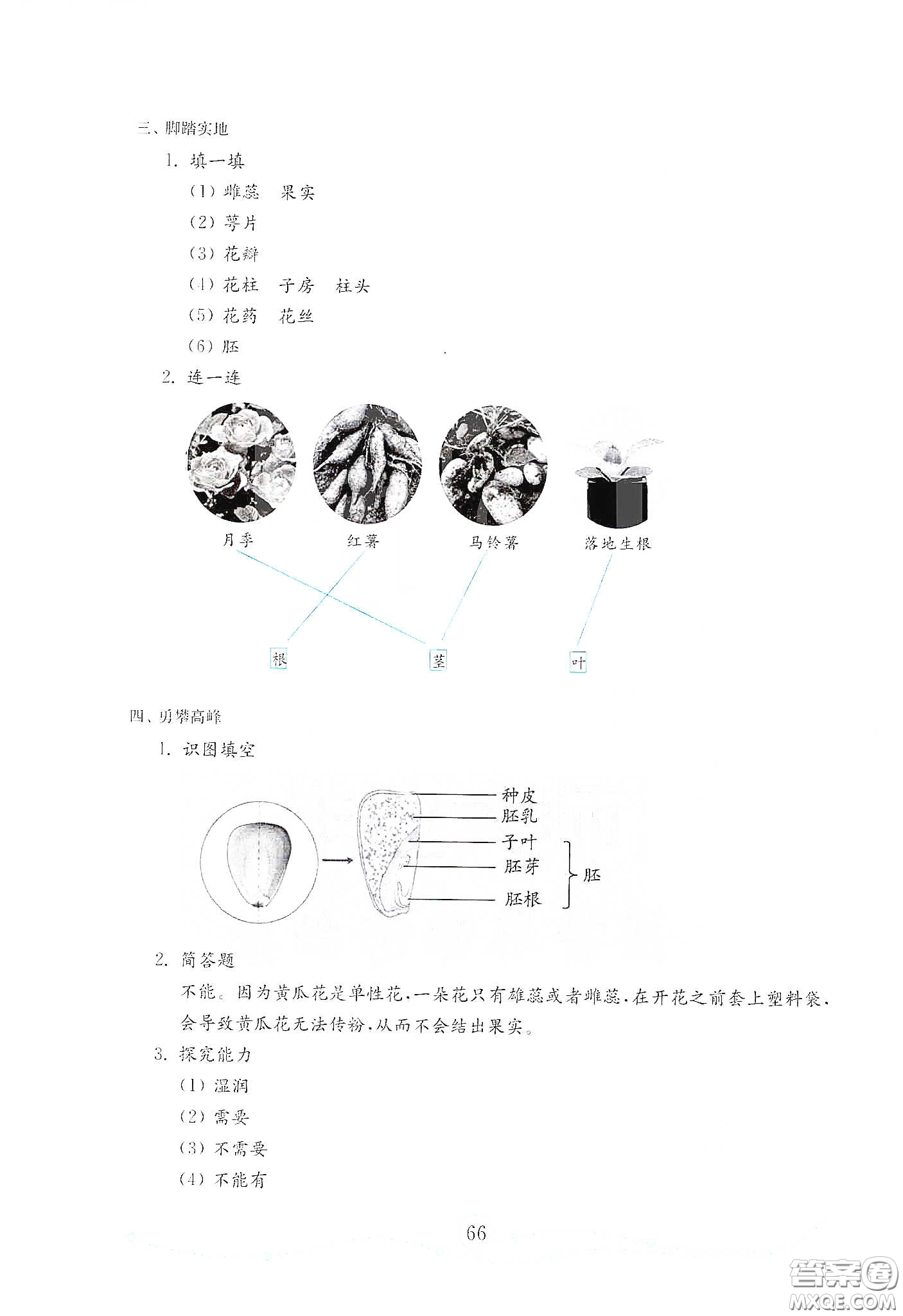 山東教育出版社2021金版小學科學試卷金鑰匙三年級下冊答案