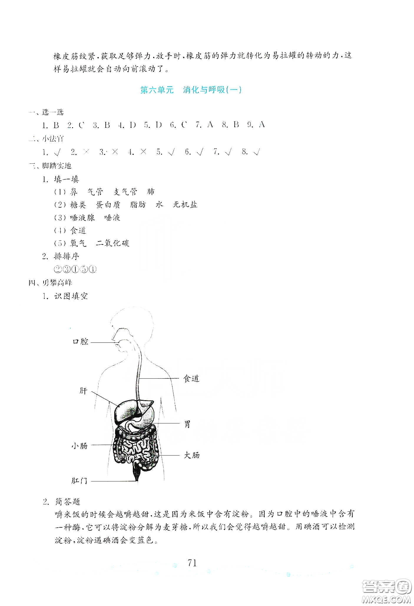 山東教育出版社2021金版小學科學試卷金鑰匙三年級下冊答案