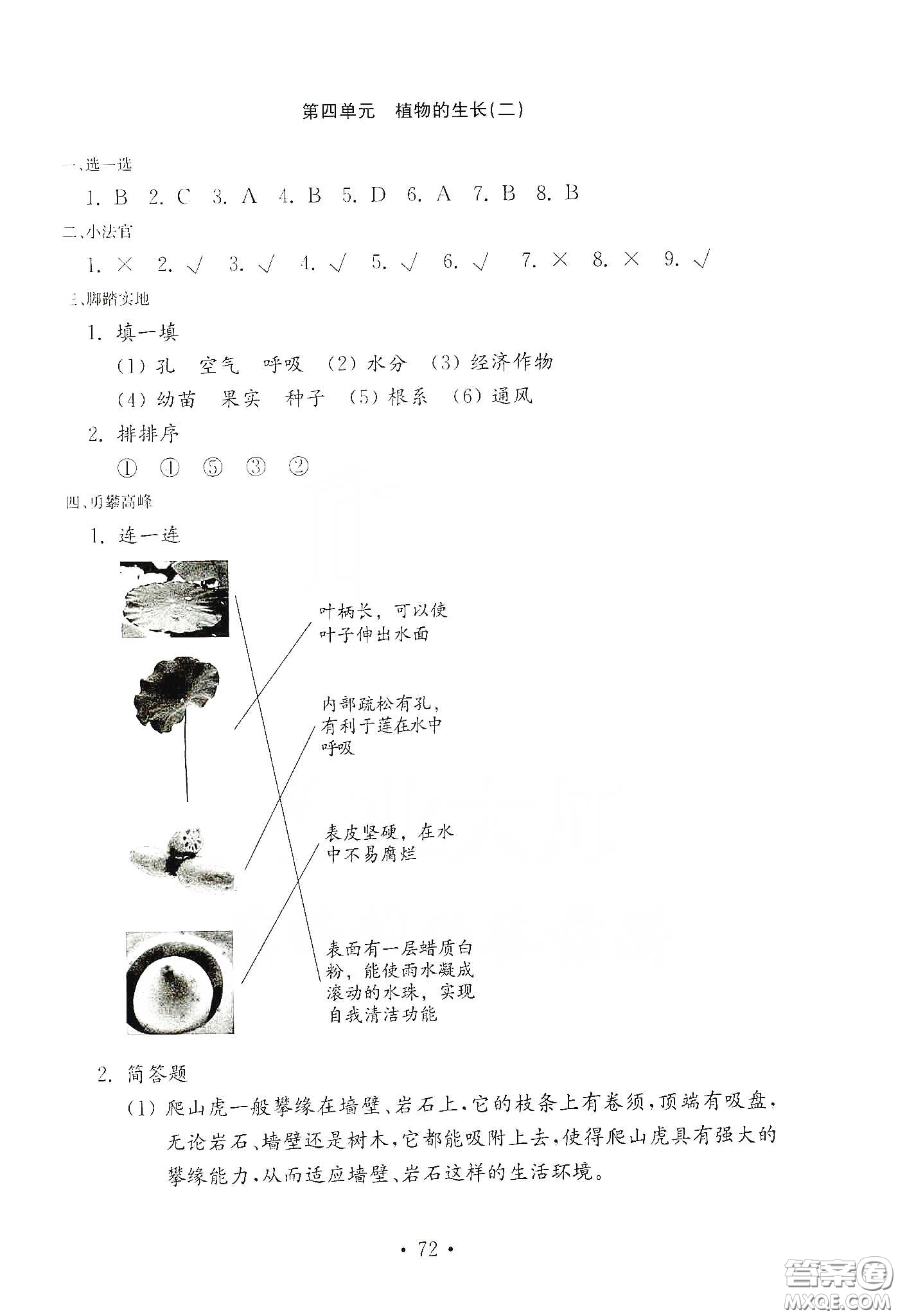 山東教育出版社2021小學(xué)科學(xué)試卷金鑰匙四年級(jí)下冊(cè)答案