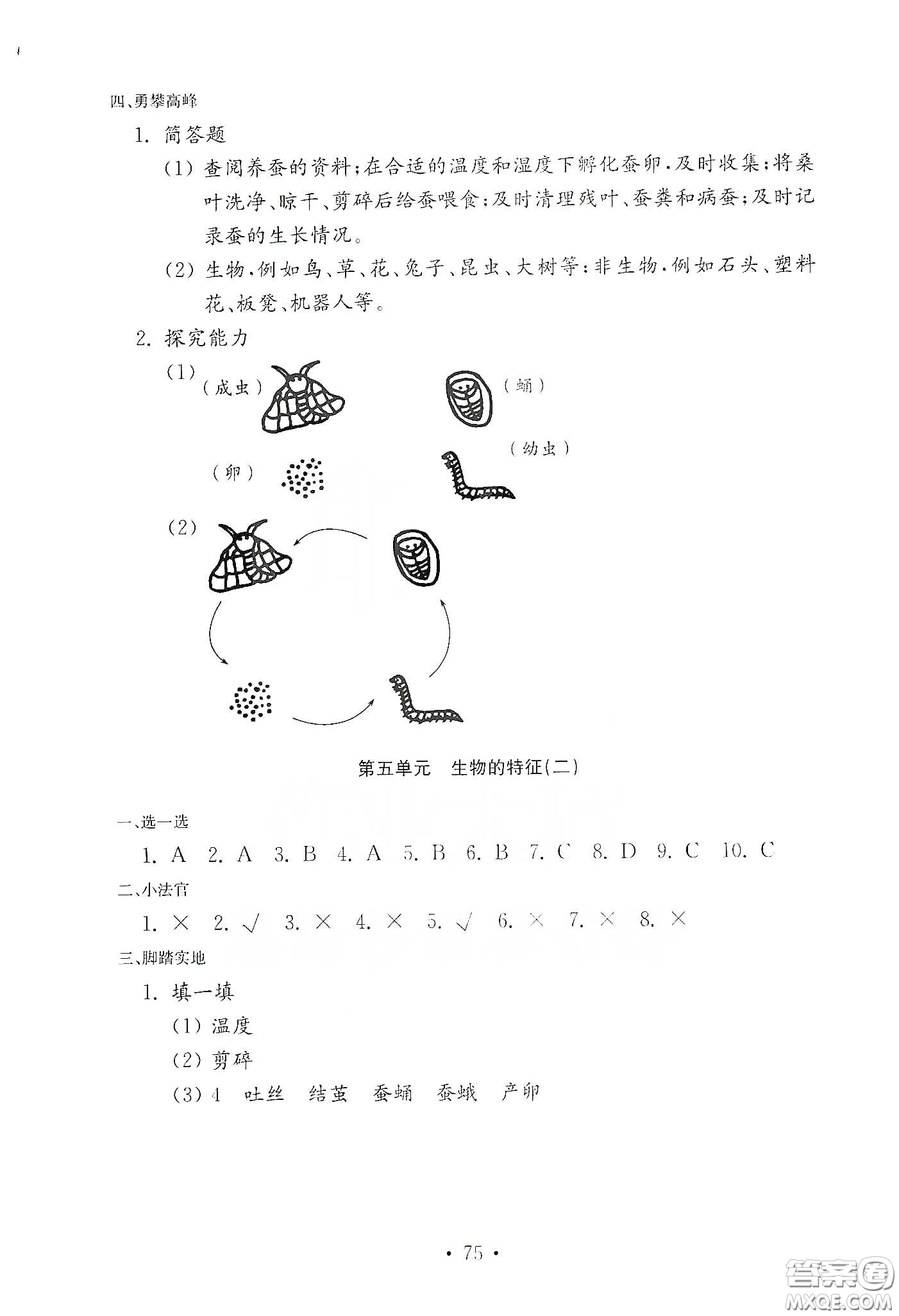 山東教育出版社2021小學(xué)科學(xué)試卷金鑰匙四年級(jí)下冊(cè)答案