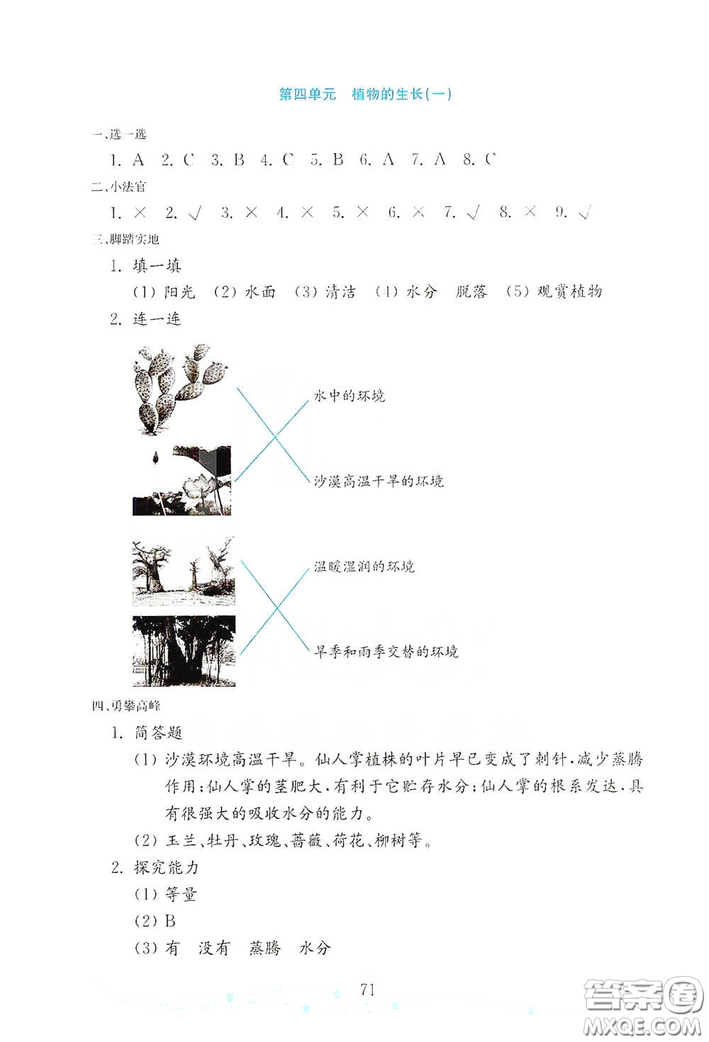 山東教育出版社2021金版小學科學試卷金鑰匙四年級下冊答案