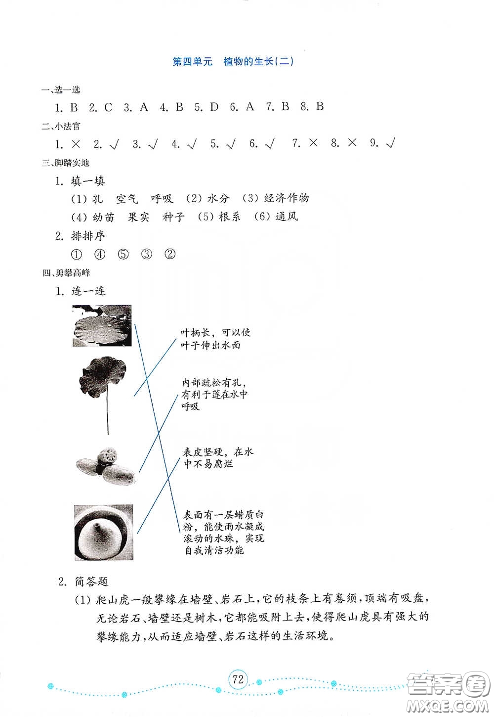 山東教育出版社2021金版小學科學試卷金鑰匙四年級下冊答案