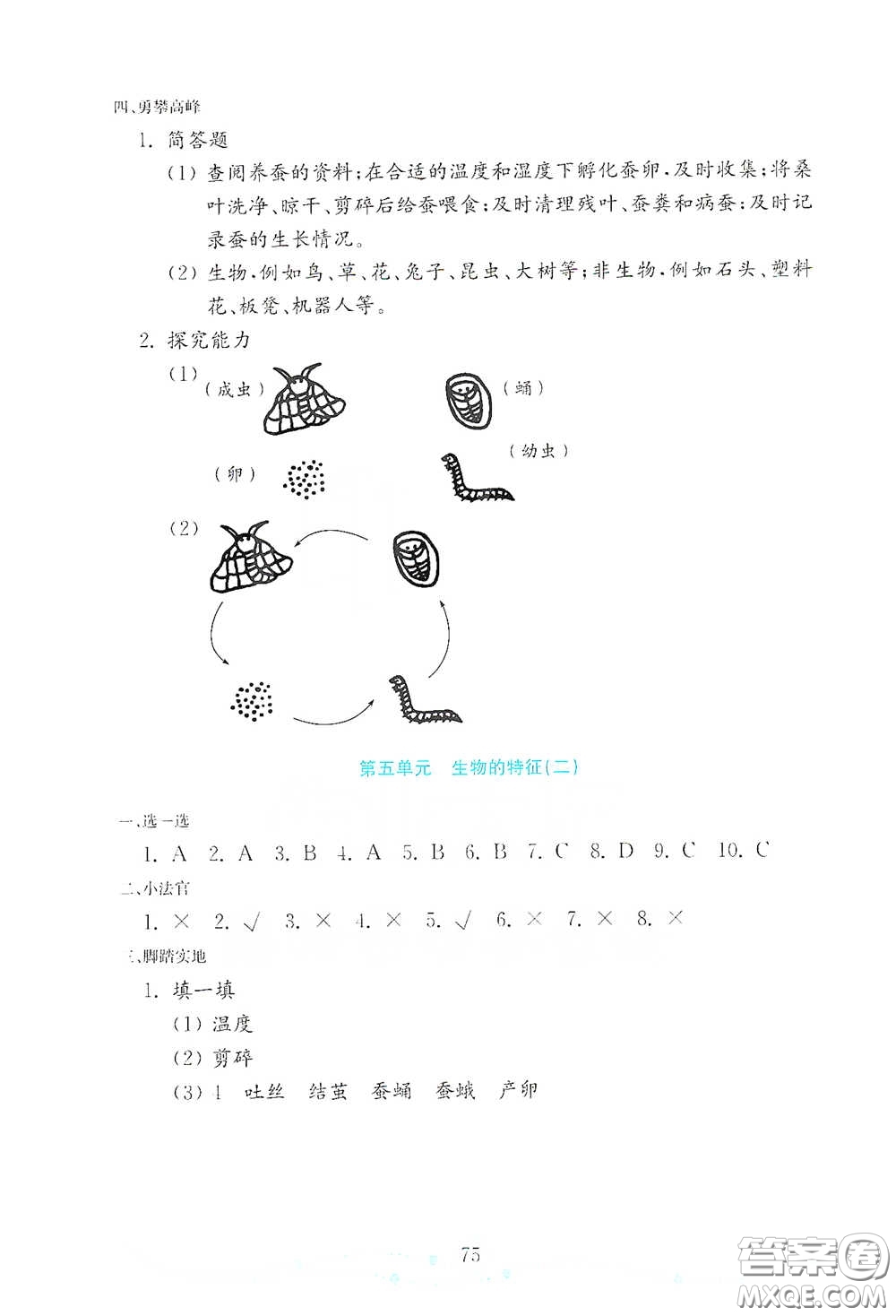 山東教育出版社2021金版小學科學試卷金鑰匙四年級下冊答案