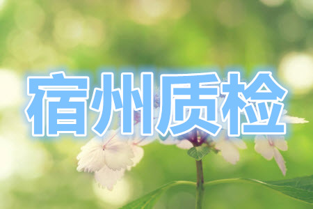 宿州市2021屆高三教學(xué)質(zhì)量檢測(cè)試題語(yǔ)文試題及答案