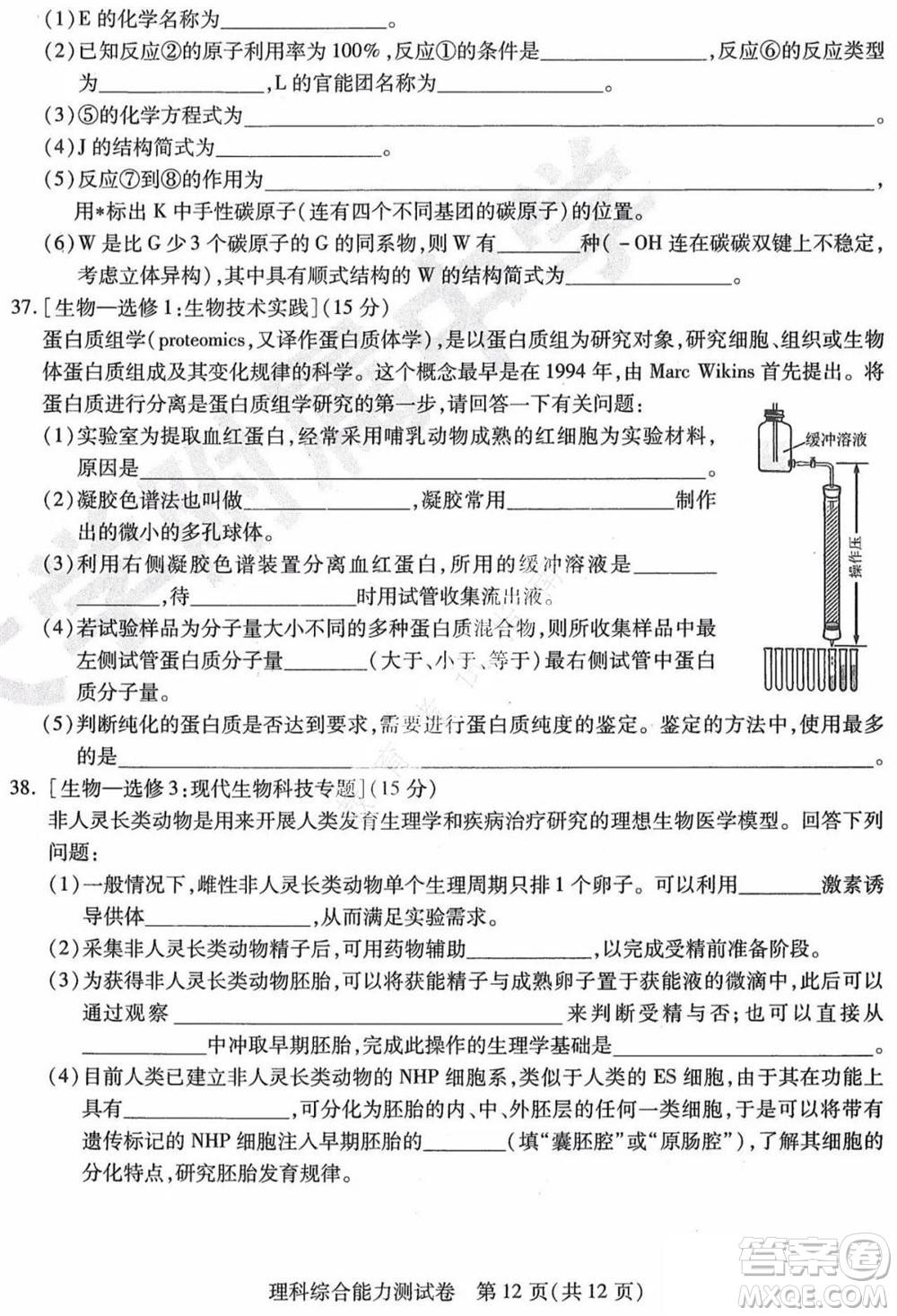 東北三省三校2021年高三第三次聯(lián)合模擬考試?yán)砜凭C合試題及答案