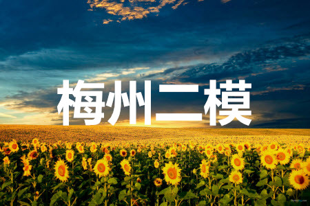 2021年5月梅州市高三總復(fù)習(xí)質(zhì)檢語(yǔ)文試題及答案